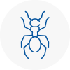 Ant Removals In Wadebridge
