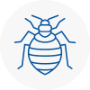 Bed Bug Extermination In Wadebridge