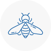 Bee Nest Removal Wadebridge