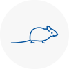 Mice Exterminators In Wadebridge