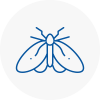 Moth Control Specialists In Wadebridge
