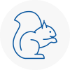 Wadebridge Rodent Removals